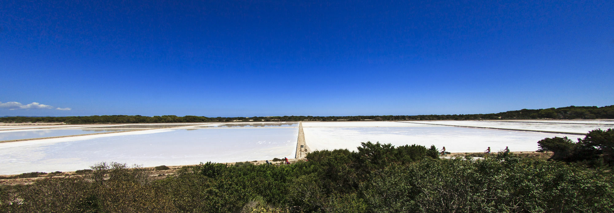 萨宾娜Cas Saliners - Sa Revista By Formentera Mar公寓 外观 照片